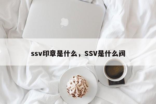 ssv印章是什么，SSV是什么阀